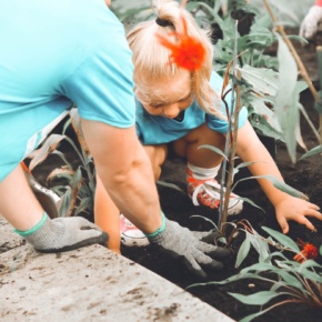 Rothberg community 1